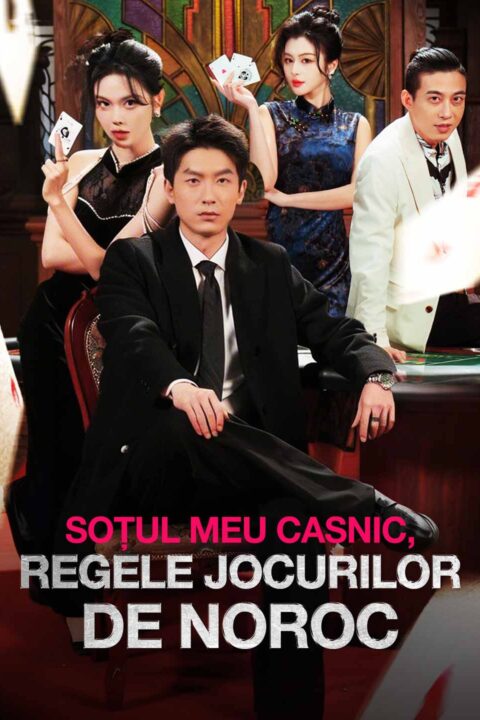 Soțul meu casnic, Regele jocurilor de noroc