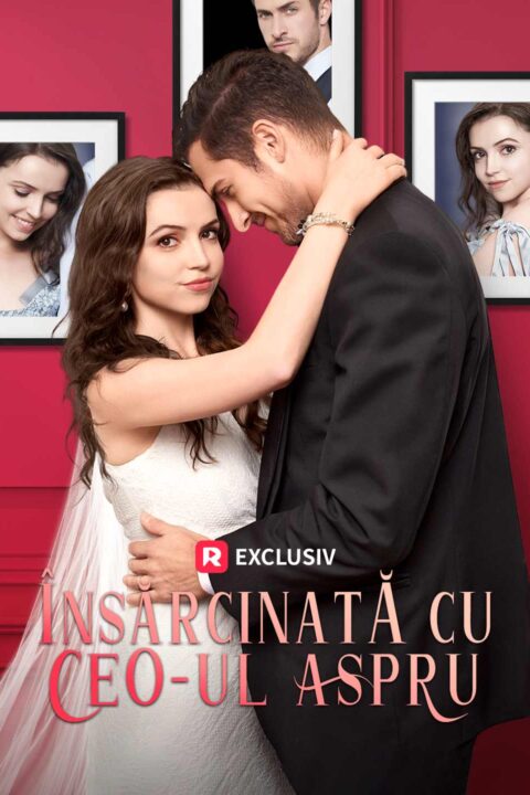 Însărcinată cu CEO-ul aspru